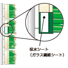 壁面緑化用保水シート